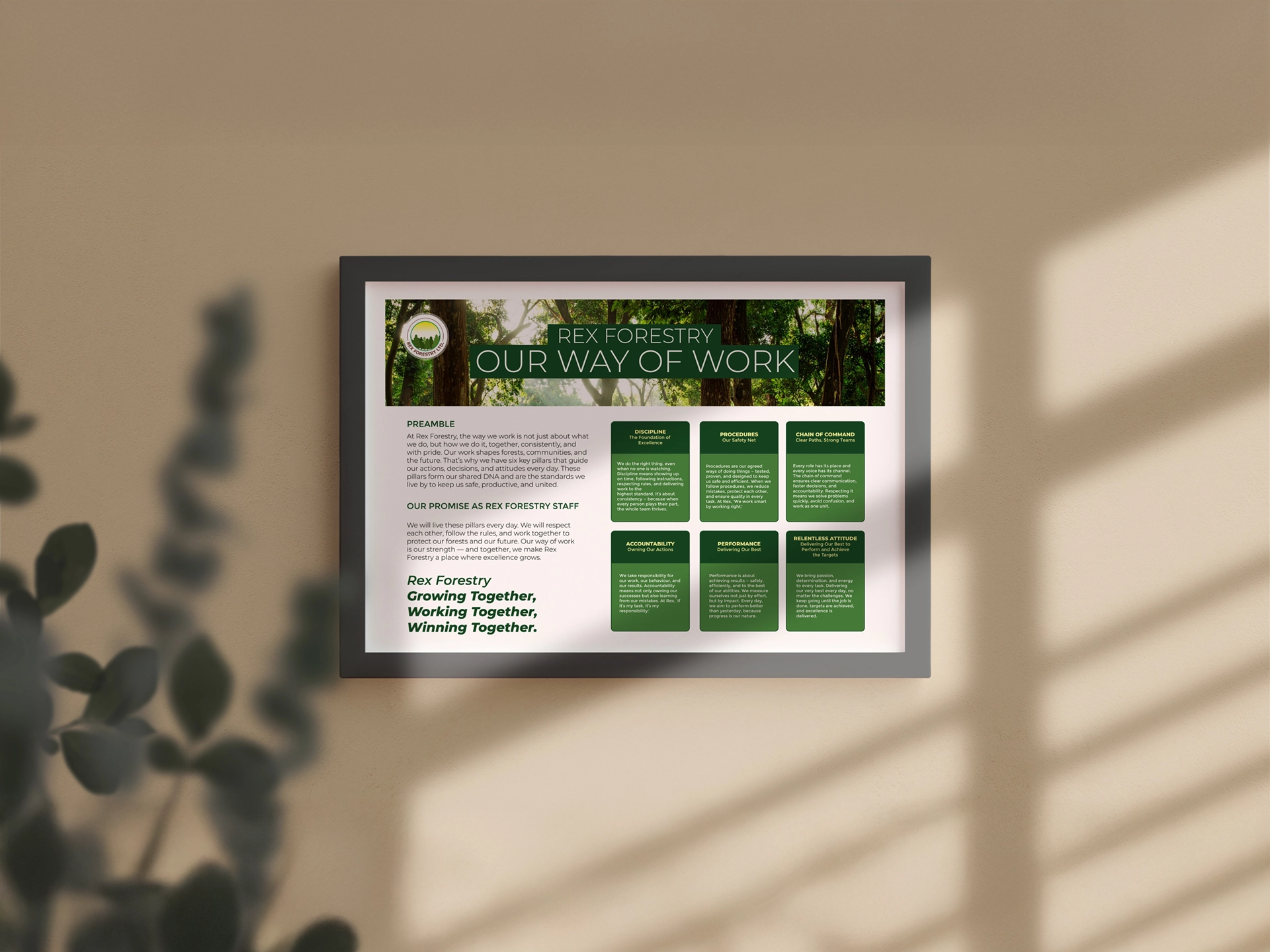 Rex Forestry: Crafting a Modern Corporate Poster for Sustainability